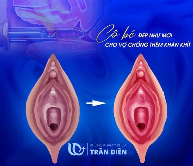 2. Trẻ Hóa Và Cải Thiện Độ Đàn Hồi